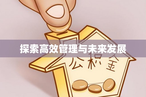 武穴探索高效管理与未来发展