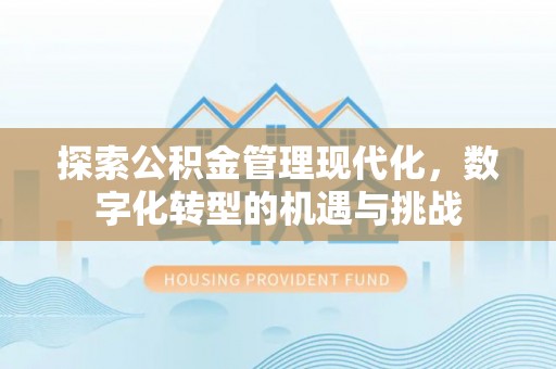 武穴探索公积金管理现代化，数字化转型的机遇与挑战