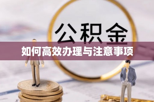 武穴如何高效办理与注意事项