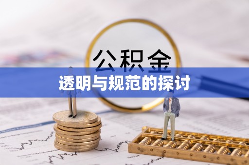 武穴透明与规范的探讨