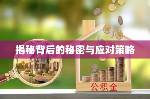 武穴揭秘背后的秘密与应对策略