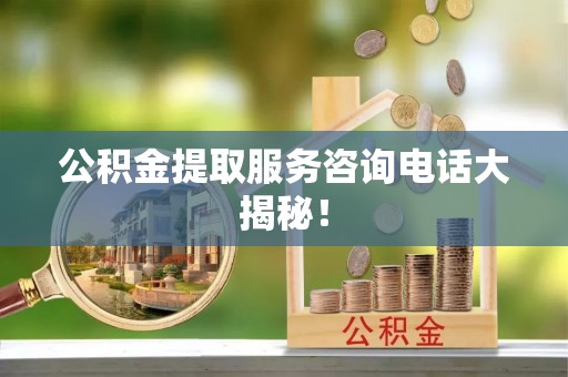 武穴公积金提取服务咨询电话大揭秘！