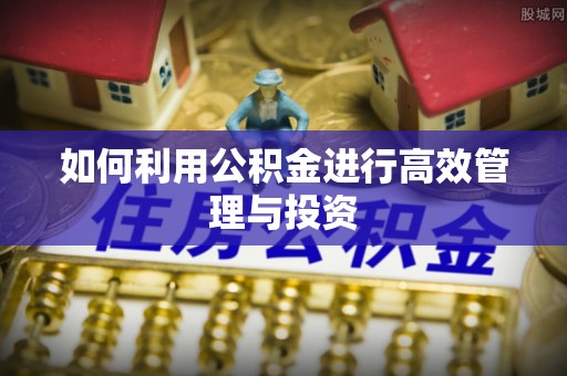 武穴如何利用公积金进行高效管理与投资