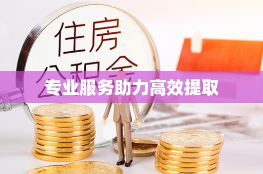 武穴专业服务助力高效提取