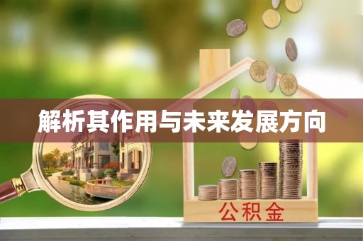 武穴解析其作用与未来发展方向