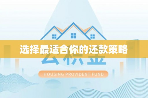 武穴选择最适合你的还款策略