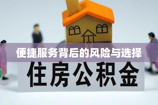 武穴便捷服务背后的风险与选择