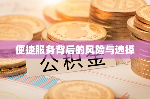 武穴便捷服务背后的风险与选择